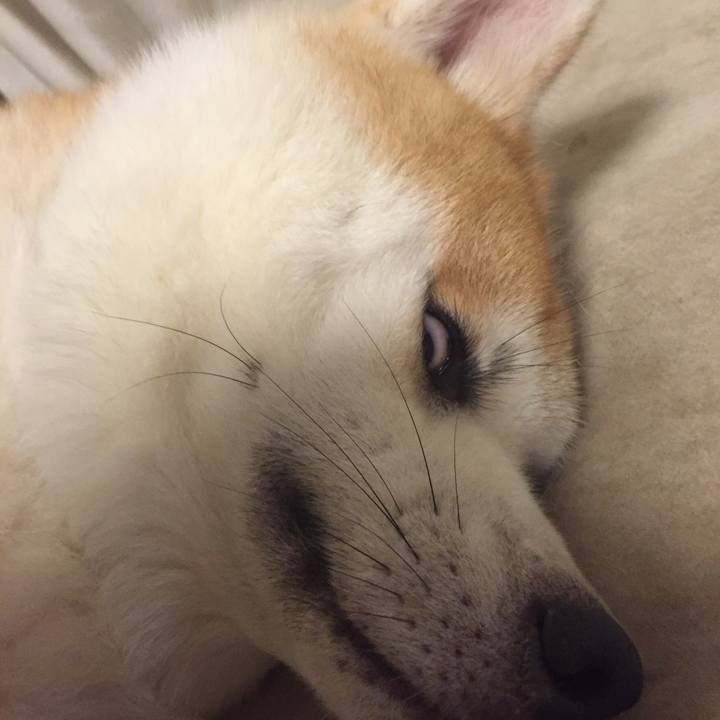 F344ab00 f3b4 4955 b92a bbfd242ce29a