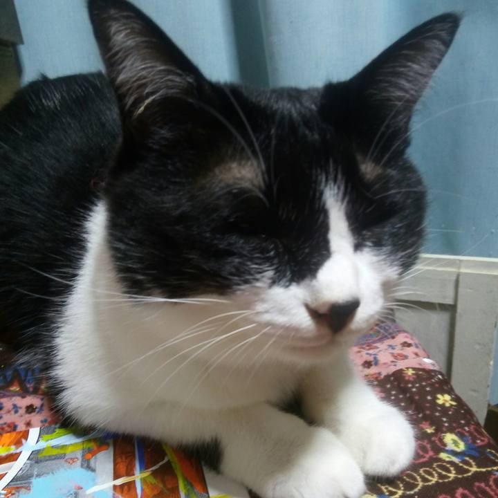 F3455e87 ca13 4b42 8567 23463a074eae