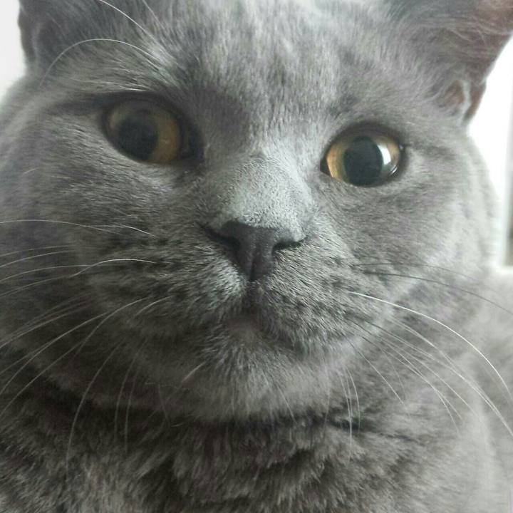 F345e9b7 f173 4eda a3f0 056a4020ea10