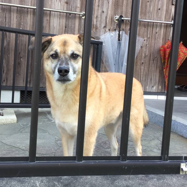 F346f332 34eb 410d aa17 ff4fe5970765