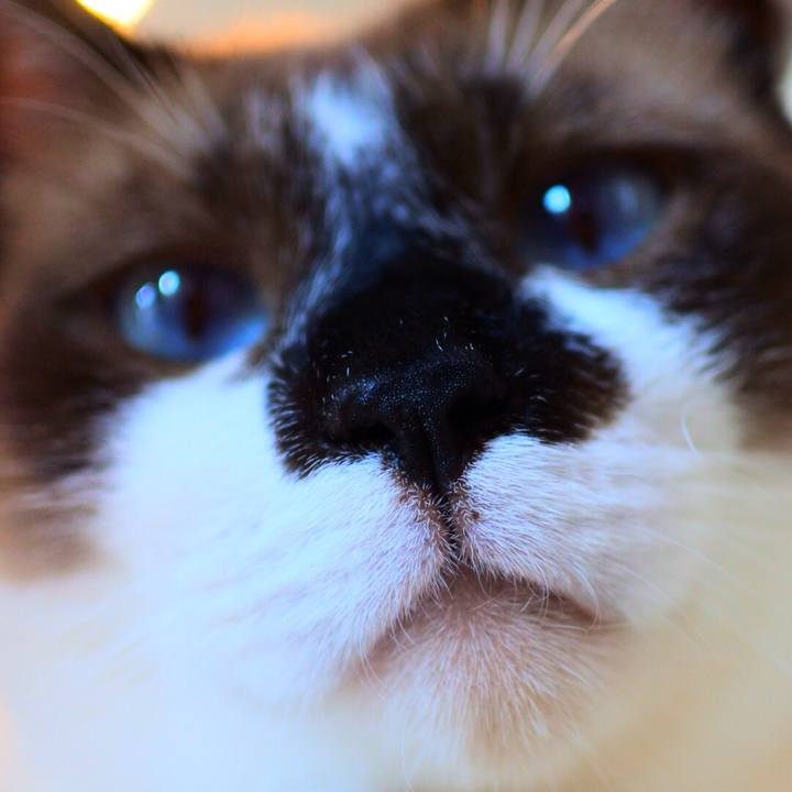 F346f628 de18 4ce9 bd02 56ebafa8edaa