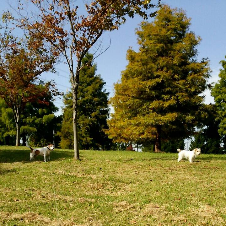 F3470d71 3254 4fbf bd31 8ff1da5b73d1