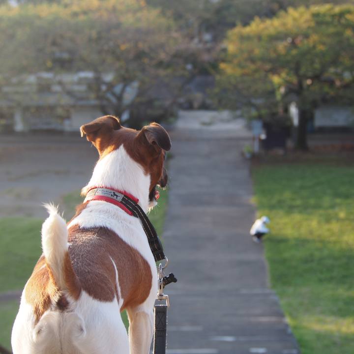 F3474396 9bb4 47a1 b726 f84049a895d7