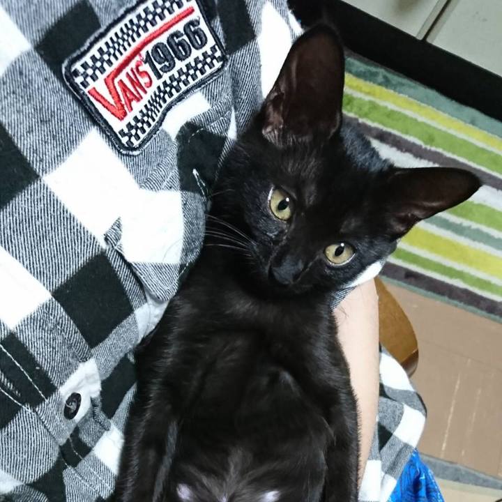 F348450f f9a9 49cf af9f 5b963a603797