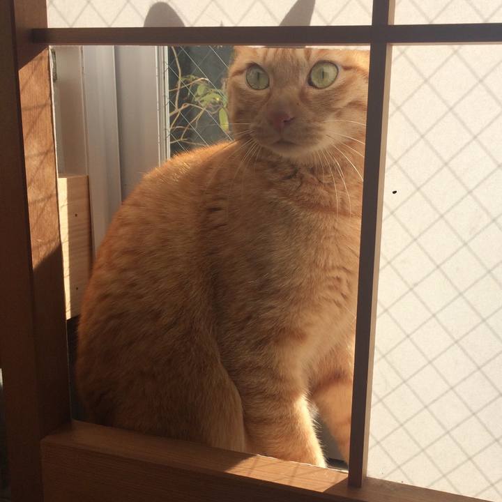 F3484cd7 265f 4609 a863 55ebf8791c1d