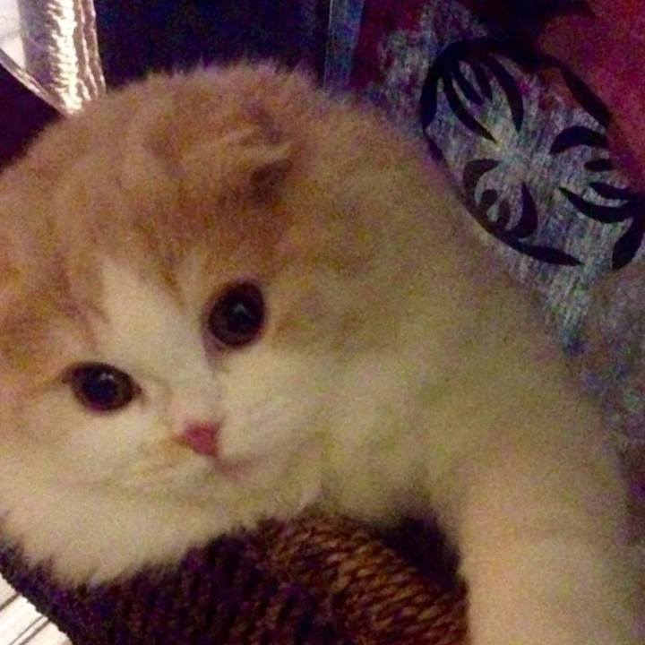 F348a876 91bc 4530 a006 b627cd78c33b