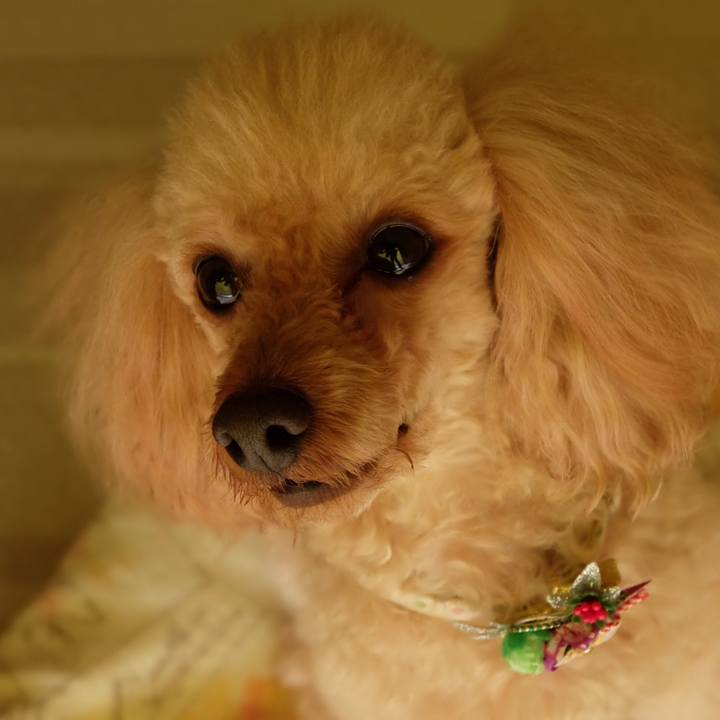 F349d553 7e20 4982 81f7 8ebb55b66829