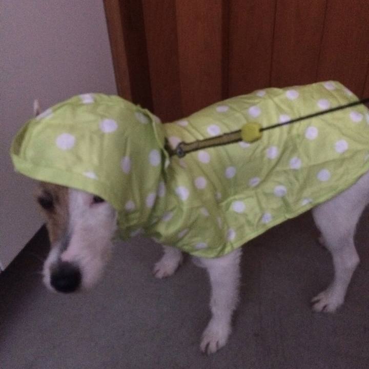 F34b16c2 6d48 47f3 9ffa 8d336ec66791