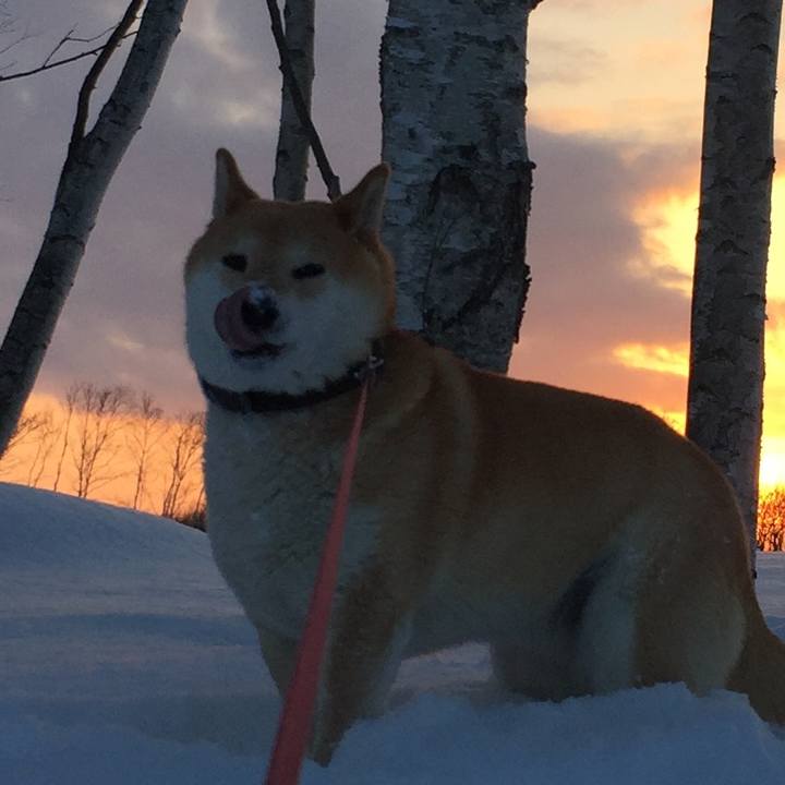 F34b1a5f 9cea 45df ac92 d6ca166948b7