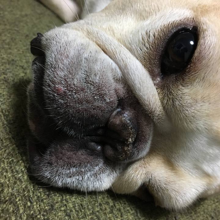 F34b3a4a 9a68 4a77 b4f5 6eac3928e174