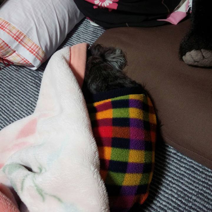 F34c13eb 9c30 4efc ae70 7d43b9a4a534