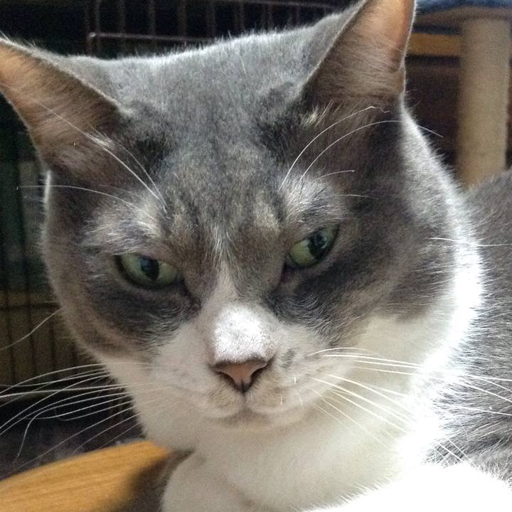 F34c24f8 bffa 4394 a0bf 89796dd304e7