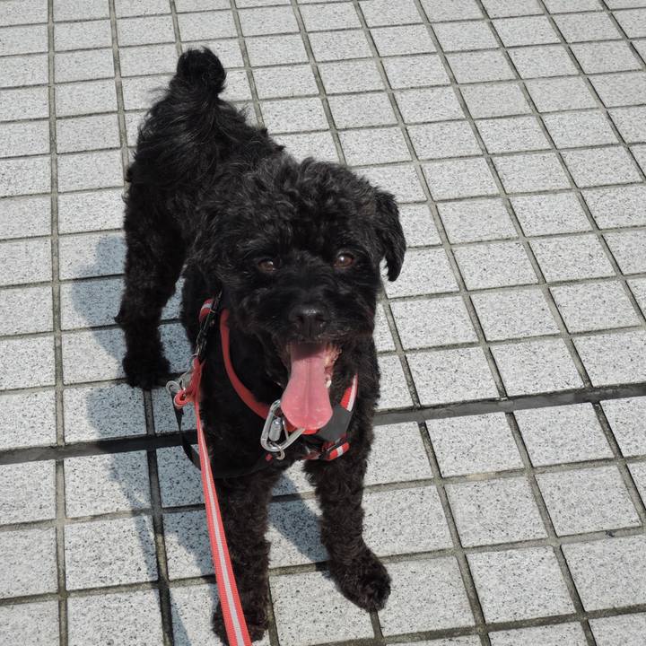 F34d535d db6d 4636 a828 11fd202ccc02