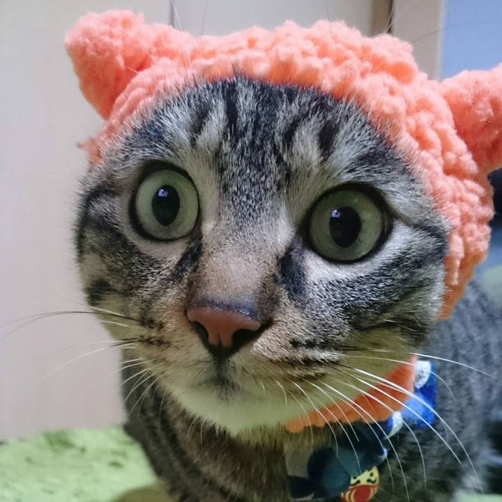 F34d54ec 4586 4350 92a0 e238cd365554