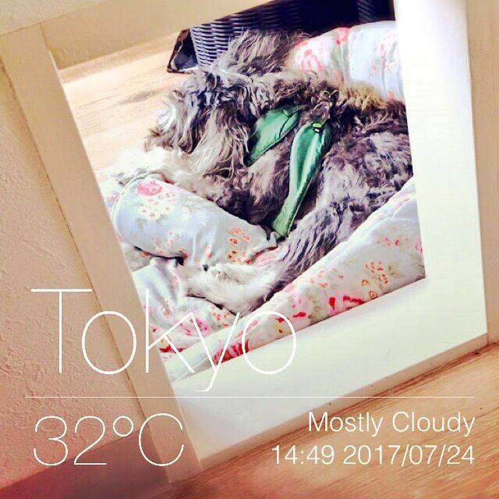 F34da5f4 3831 47c8 b6a9 fed794d5f2c3