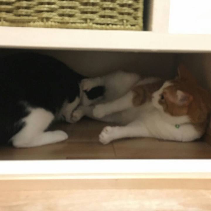 F34ebb01 3f55 473e 9770 d6358ccec467