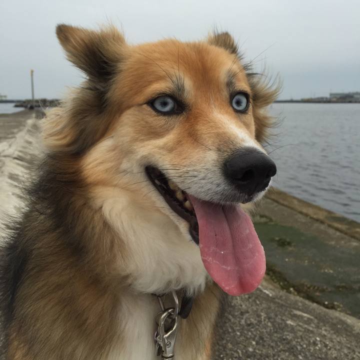 F34f51d5 d924 4bf7 b6d4 c610acc291c3