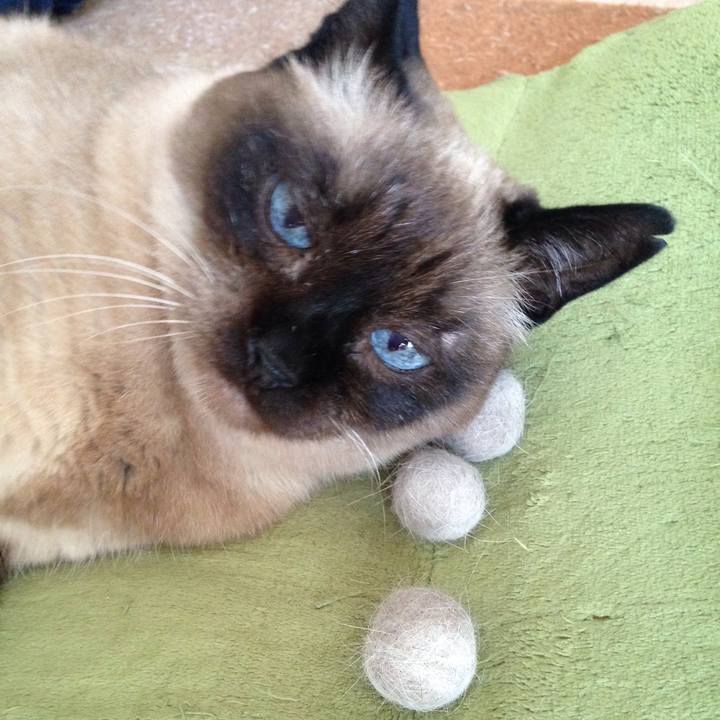 F34f5cb3 984e 4fcc ad39 7a2ef2efbd21