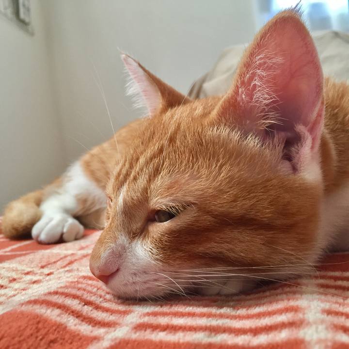 F34f9d03 e5b6 46ae a83a f411fe721a99