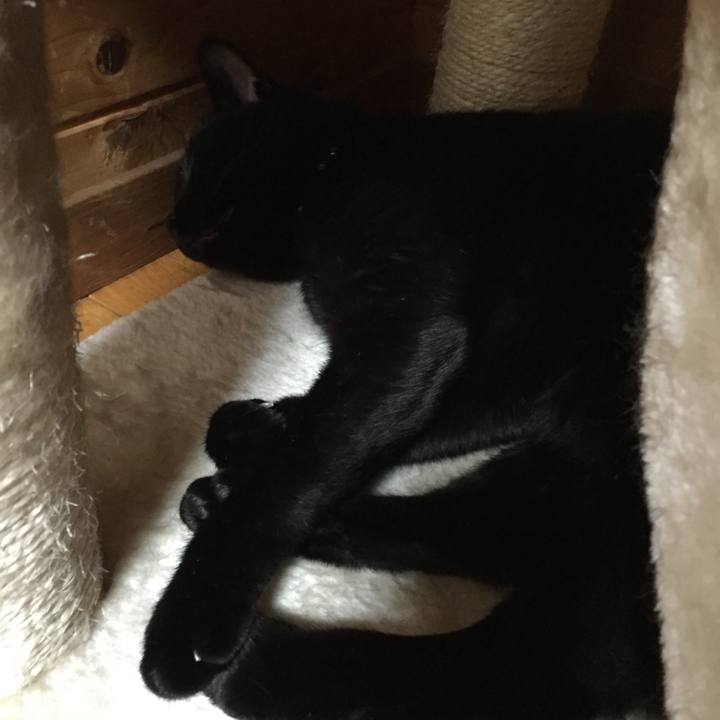 F34fab95 6b4e 4adc 8e86 ccfec3fbb570