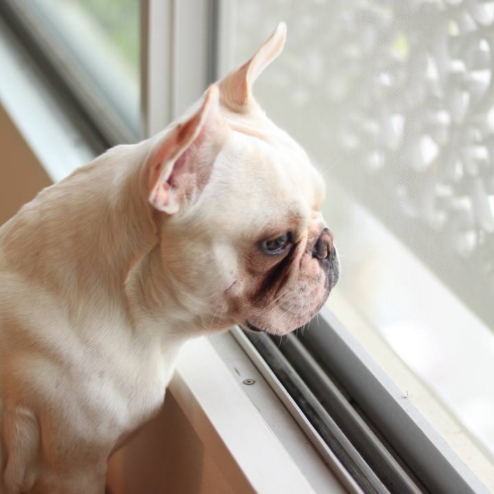 F3502512 58ee 40e9 b2b4 551c516e476e