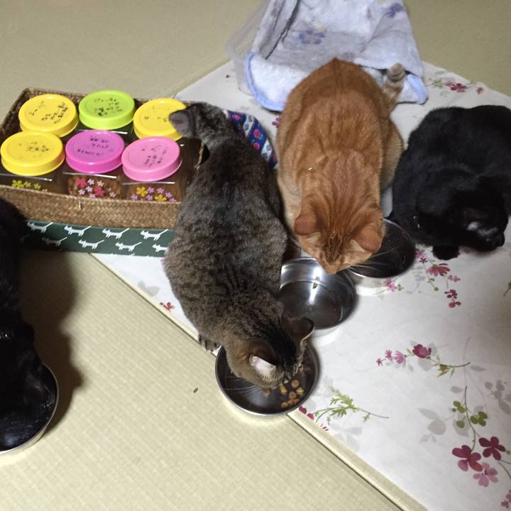 F35126ec 4899 4074 b776 97baf8ee4428