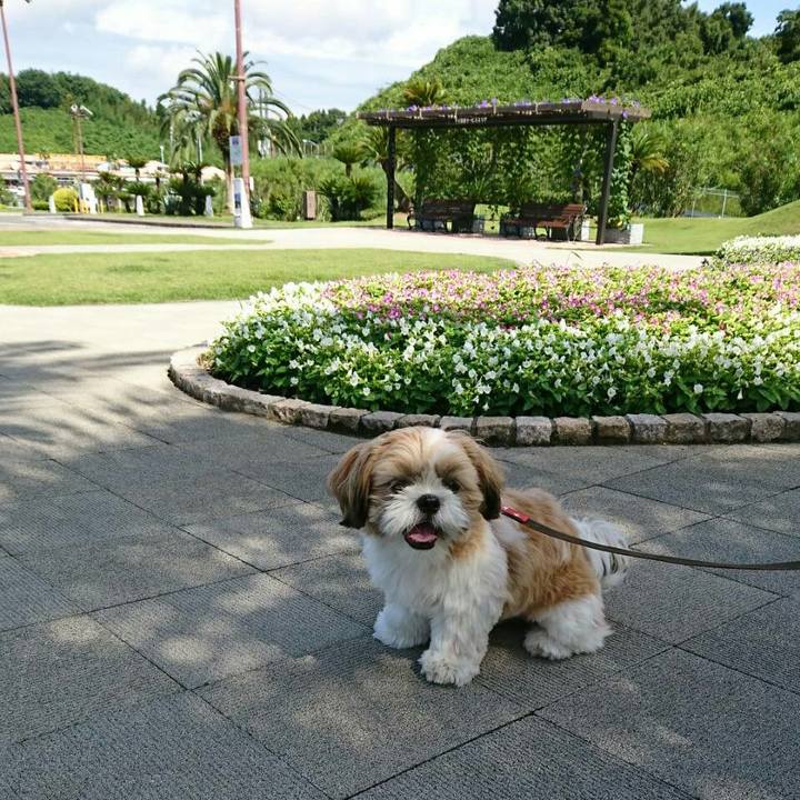 F351306c 4275 4652 b516 3523cb9f6b9d