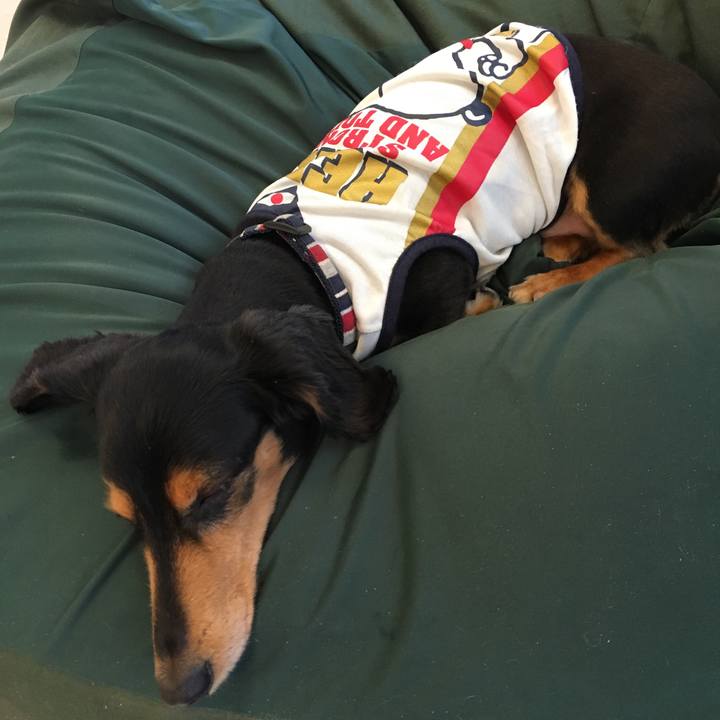 F3517b42 4363 4daa 9cab 4f92a92bb67b