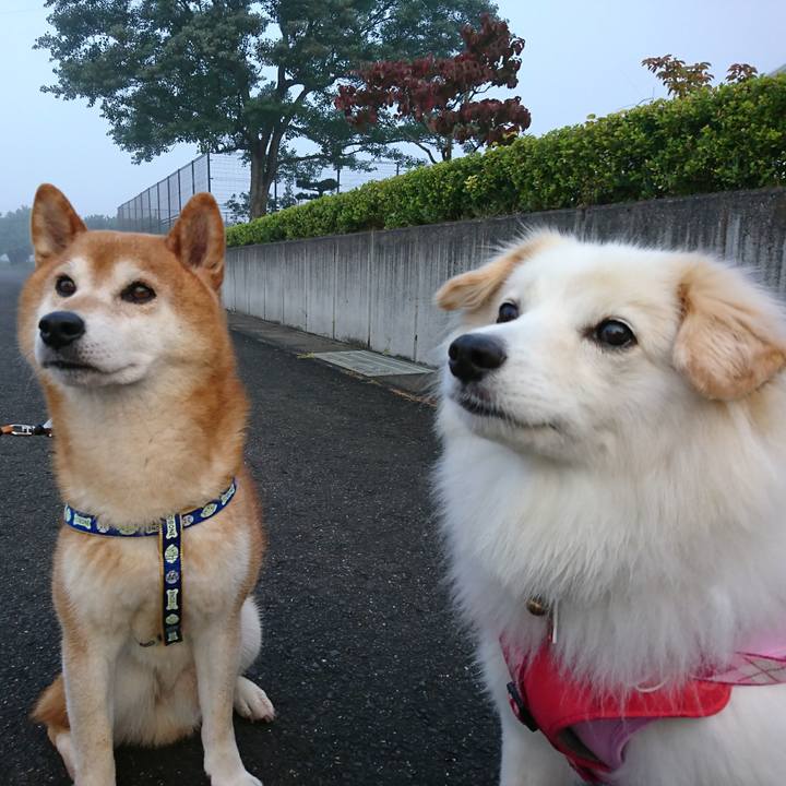 F3521a01 7fbe 47c9 b5d5 1160a152a218