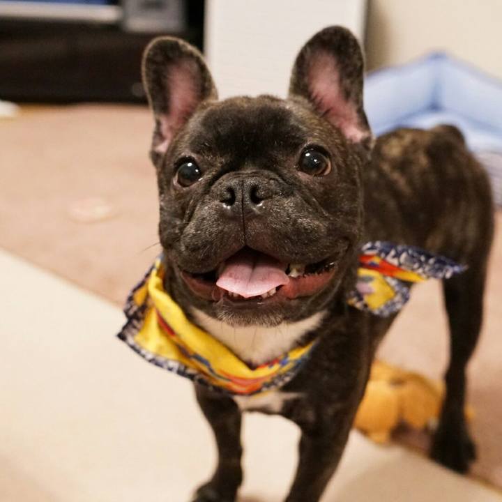 F3530a1f 1d87 4010 b4ab bb9d616bf56b