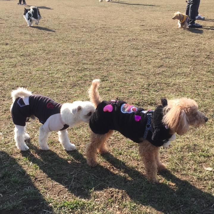 F3531f27 28ba 4243 8679 6f8cb12d1ffd