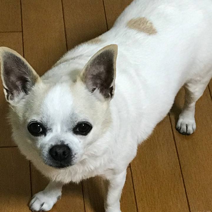 F35323ba 0550 4510 b6b0 23a7a78ce3df