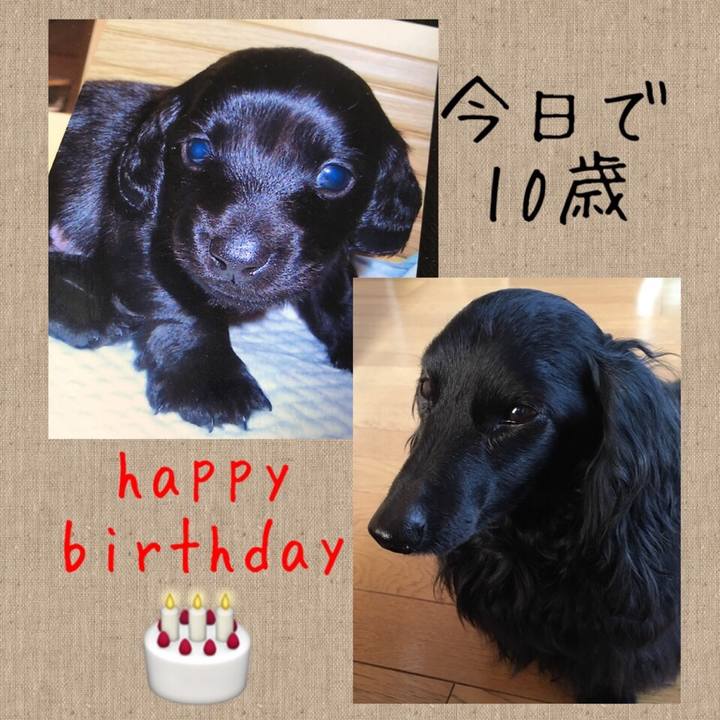 F353ea13 2d92 42b3 817b 6759a3d89400