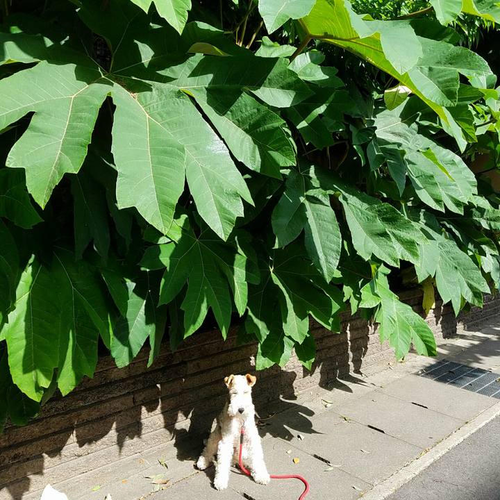 F35492bf 6db5 4547 90eb b024e0ac6848