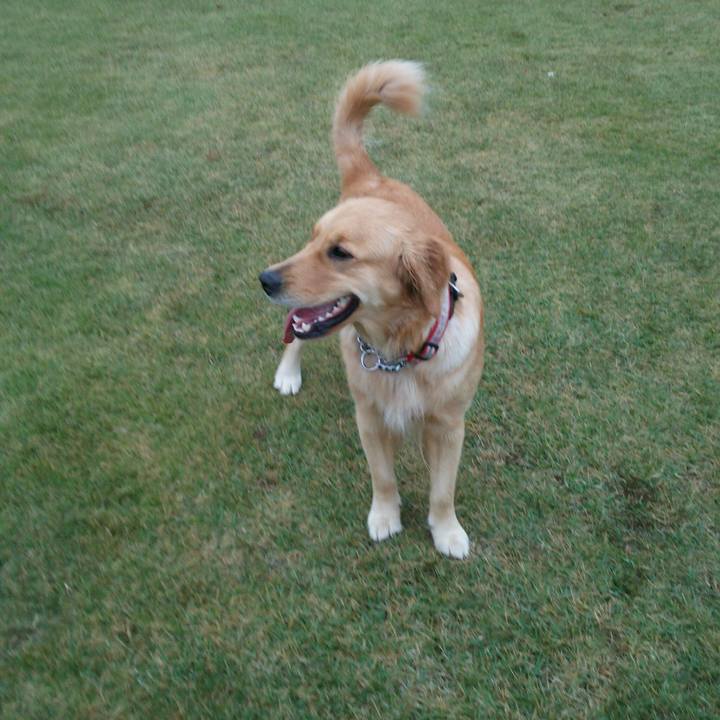 F354aa07 6ce1 40ff 88e8 d4809fce791d