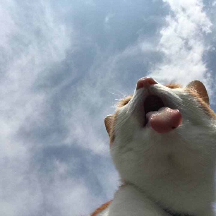 F354ceff c2b7 443e 8fdd 9cc4c8a8242e