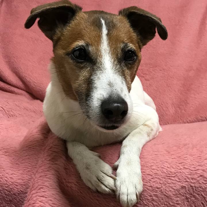 F354f84f cddf 412b 8847 afe6a3f59e4c