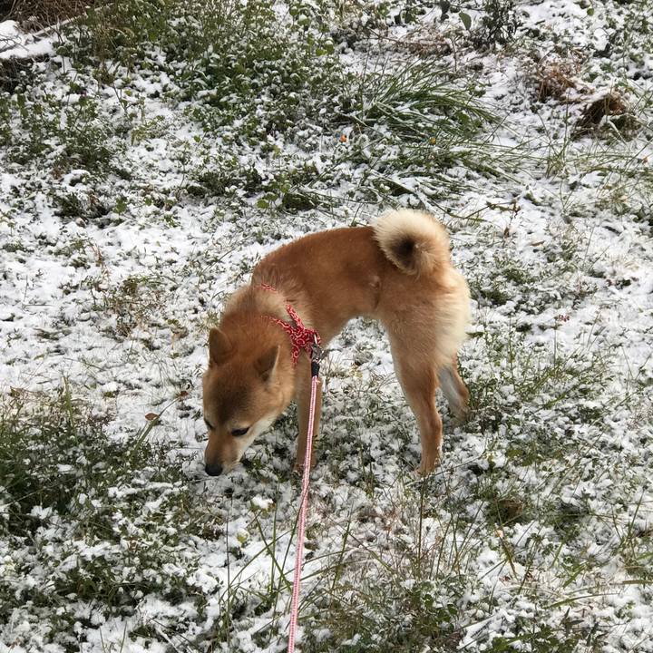 F354fefa 258e 4f77 bf0b e281ab9a8cf7