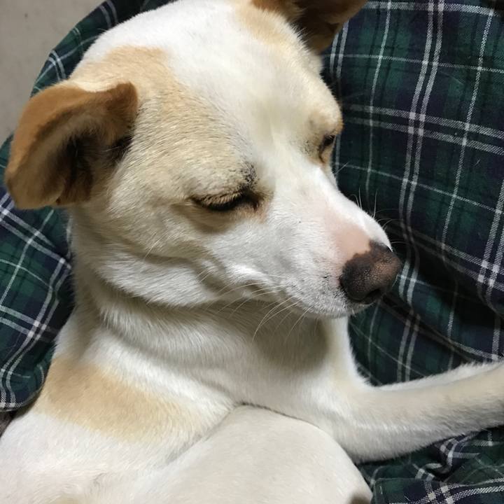 F3553c10 cb12 447a 9e2c c97a45af8700