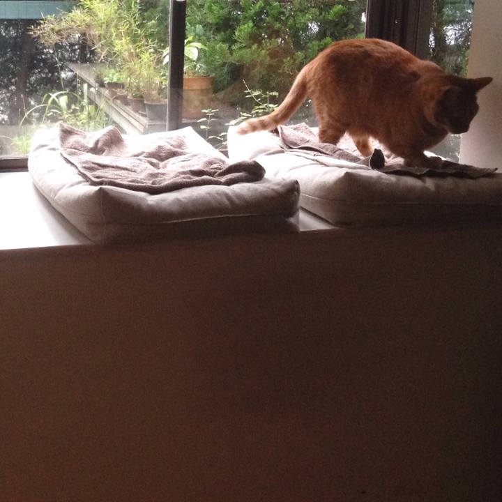 F355a184 fd6a 4c26 92fc 44bbe3bc1b55