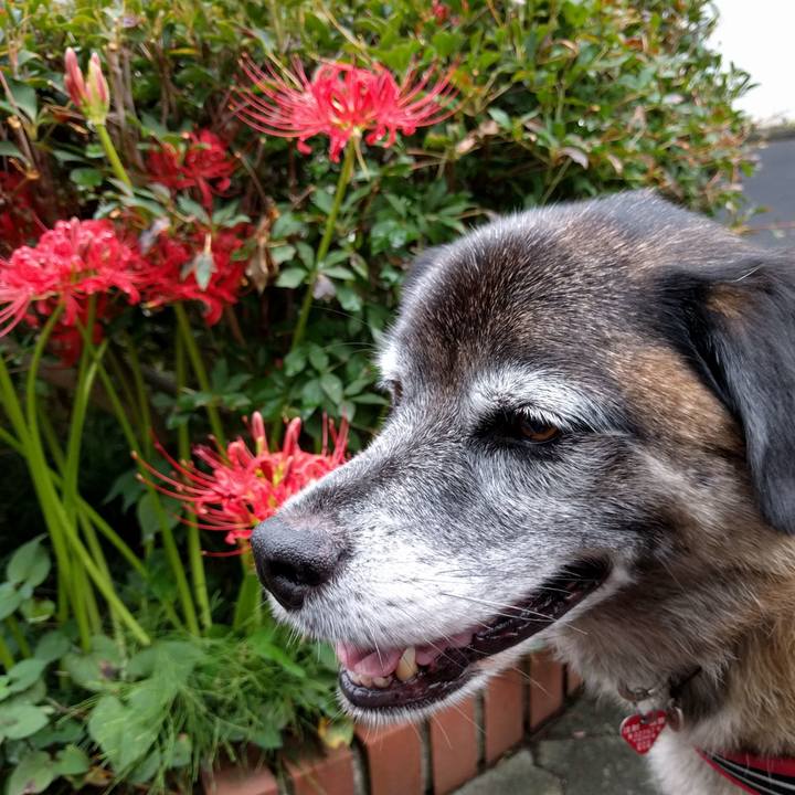 F355ad73 438d 4bb5 b0df 1c9ab347e0be