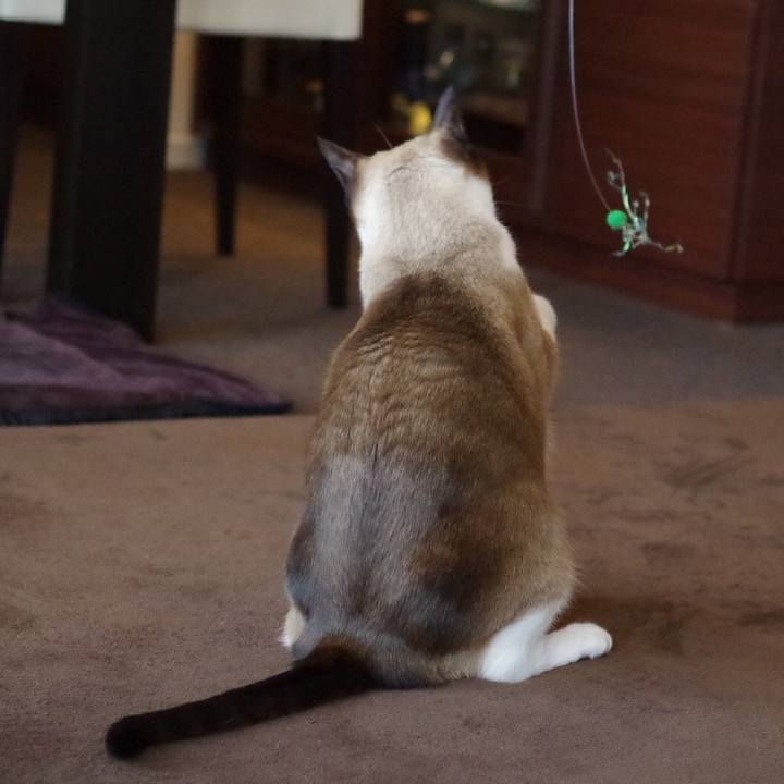 F356a62a 4e38 4aa0 9d7f b26b9d6ad12a