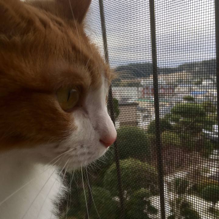 F3571132 3d13 4bec a5f5 005c82d208b5