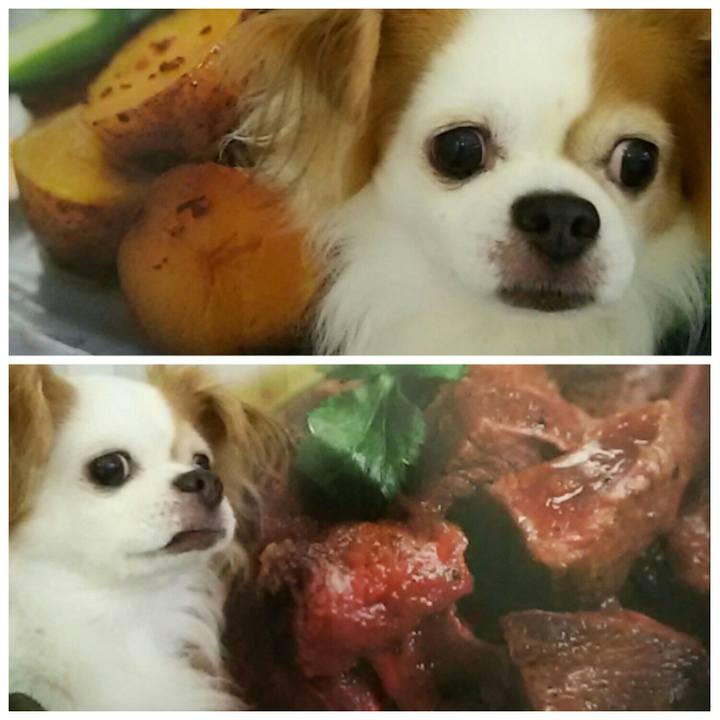 F357455f f10c 4e65 97c2 746a692c87d2