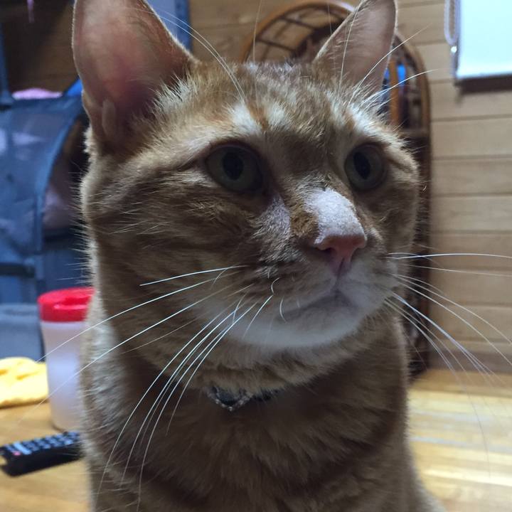 F3579f08 e804 4a27 8836 edb1cb450b3a