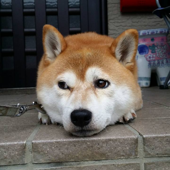 F3589714 1848 449e a166 9e105b82c530