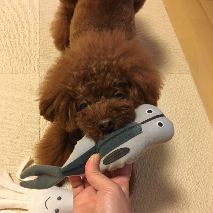 F35909a9 a28d 4dd7 a9d5 2daf705d5570