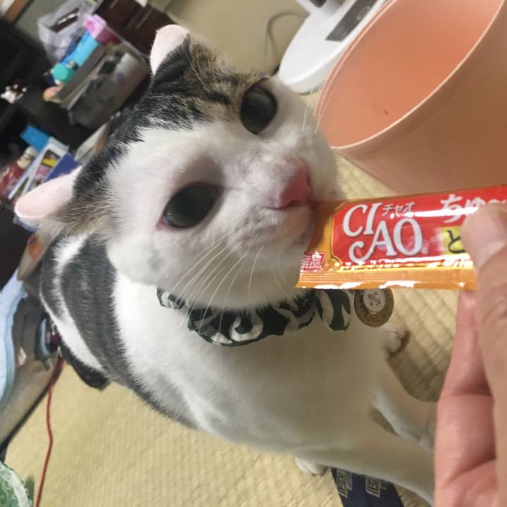 F3592607 cb54 447c 9f89 43ec4dd9f370