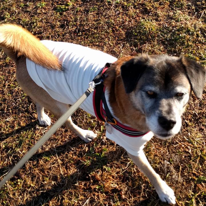 F359668a fd7e 4996 9f1e 2ac8790ba959