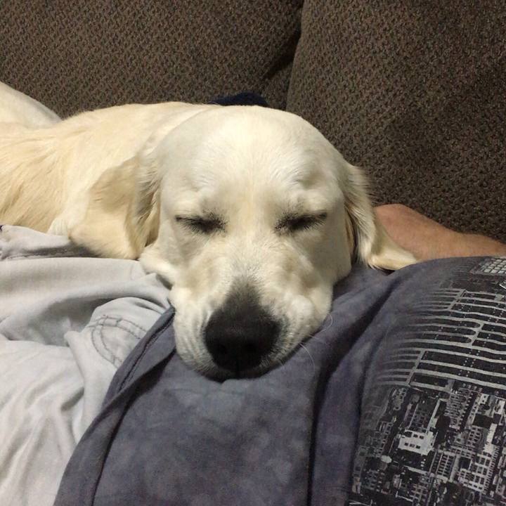 F35a50f7 6b69 4632 ae63 3ee455ccffd6